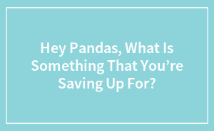 Hey Pandas, What Is Something That You’re Saving Up For?