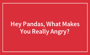Hey Pandas, What Makes You Really Angry?
