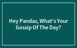 Hey Pandas, What's Your Gossip Of The Day?