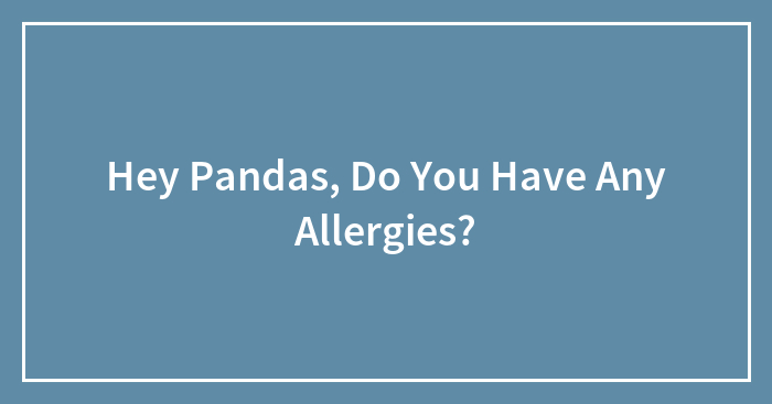 Hey Pandas, Do You Have Any Allergies?