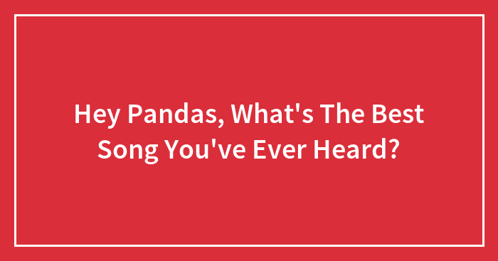 Hey Pandas, What’s The Best Song You’ve Ever Heard?