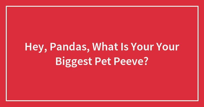 Hey, Pandas, What Is Your Your Biggest Pet Peeve?