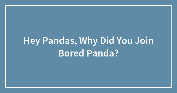Hey Pandas, Why Did You Join Bored Panda? (Closed)