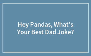 Hey Pandas, What’s Your Best Dad Joke?