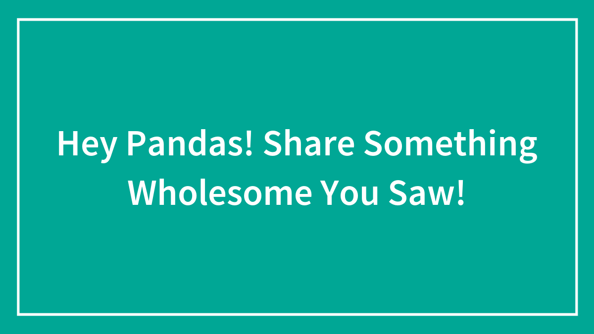 Hey Pandas! Share Something Wholesome You Saw!