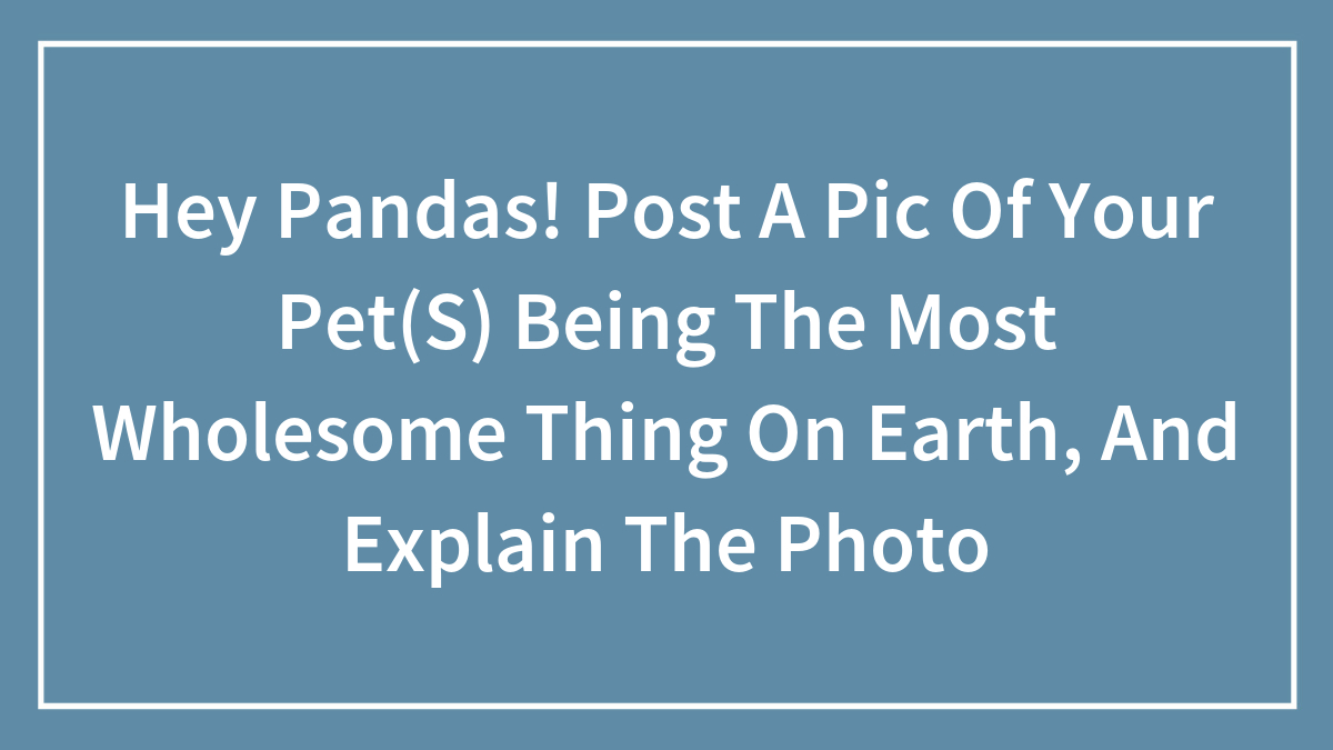 Hey Pandas! Post A Pic Of Your Pet(S) Being The Most Wholesome Thing On Earth, And Explain The Photo