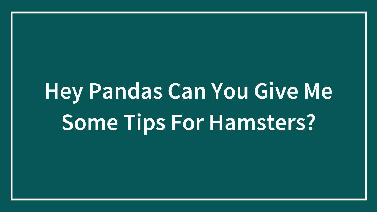 Hey Pandas Can You Give Me Some Tips For Hamsters?