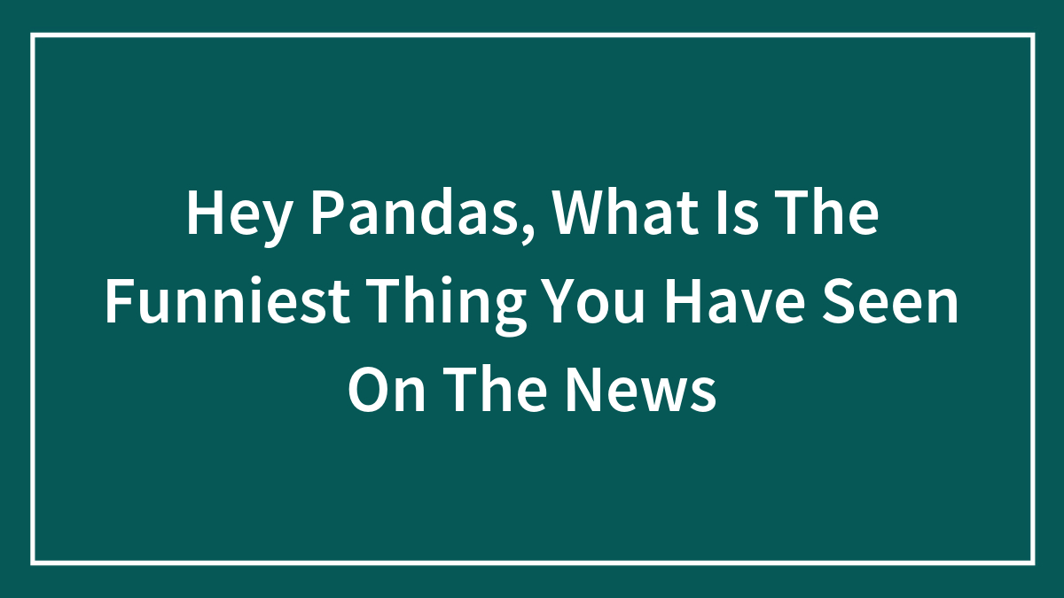 Hey Pandas, What Is The Funniest Thing You Have Seen On The News