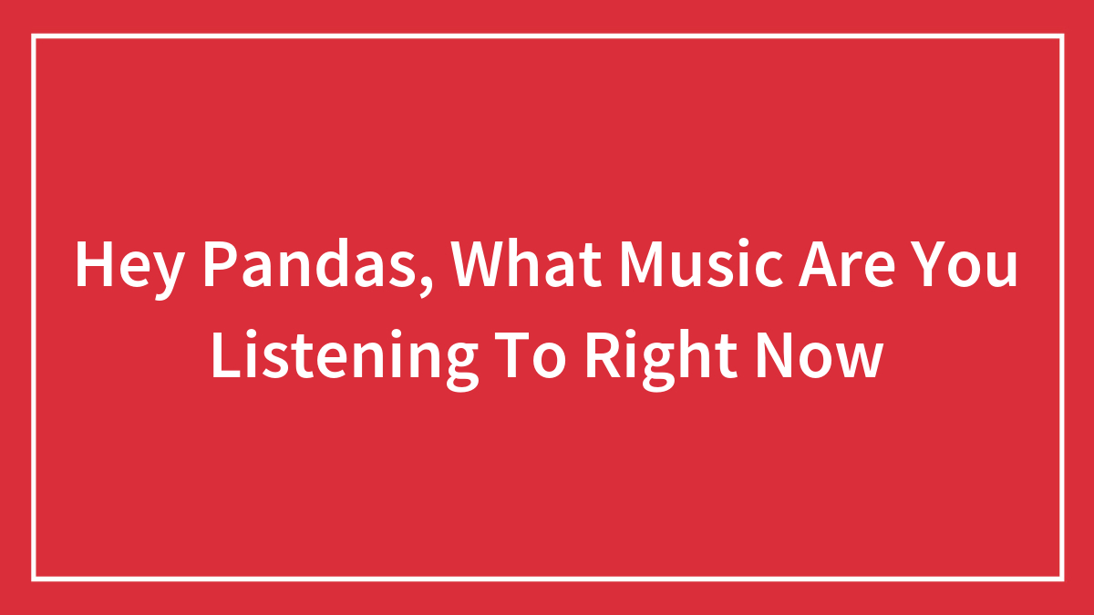 Hey Pandas, What Music Are You Listening To Right Now