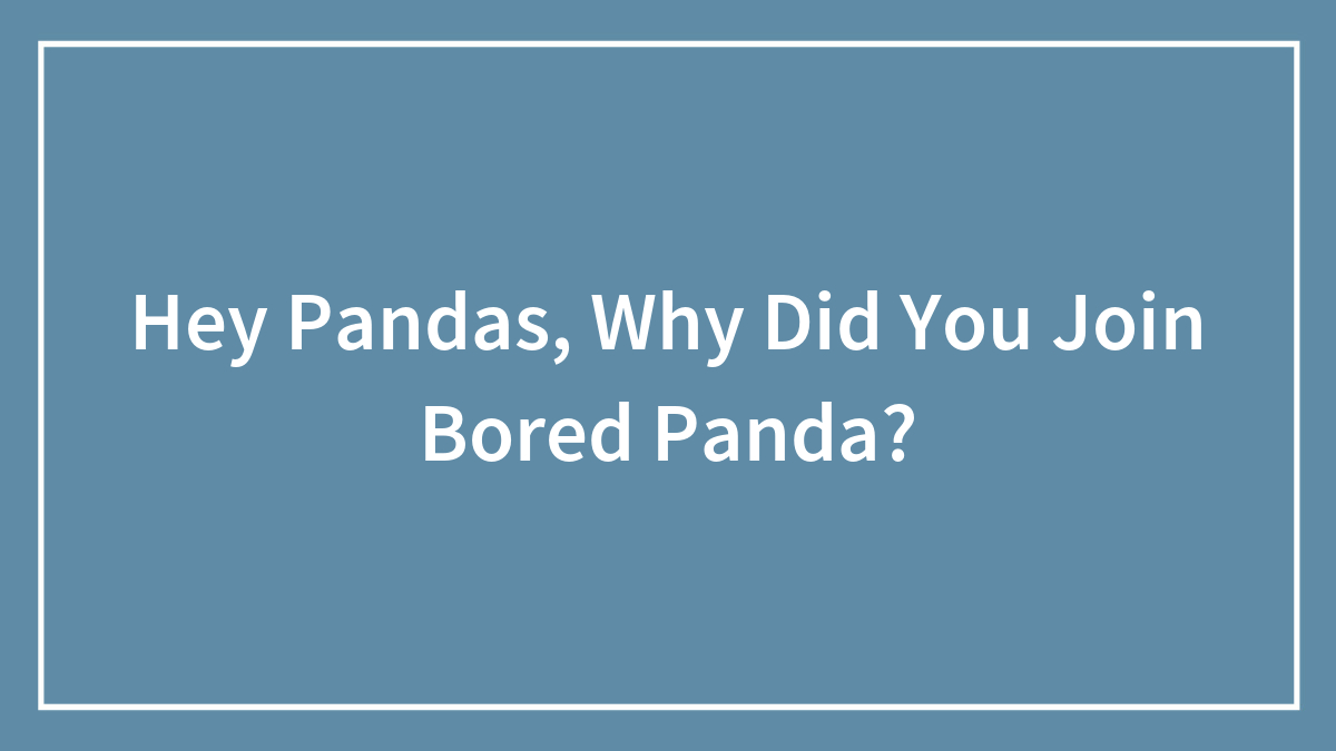Hey Pandas, Why Did You Join Bored Panda? (Closed)