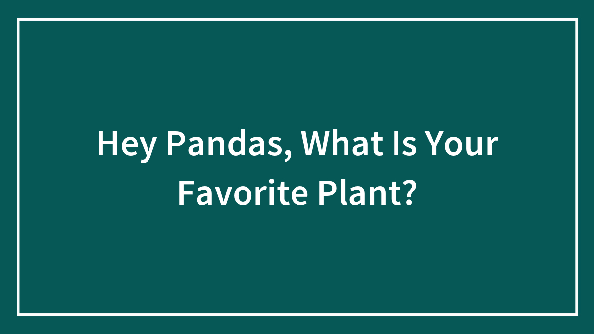 Hey Pandas, What Is Your Favorite Plant?
