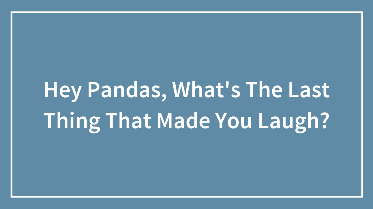 Hey Pandas, What’s The Last Thing That Made You Laugh?