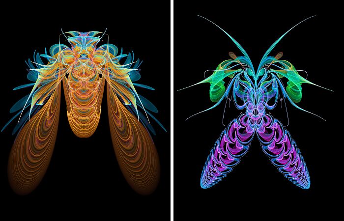 Insect Art Made With Fractals (12 Pics)