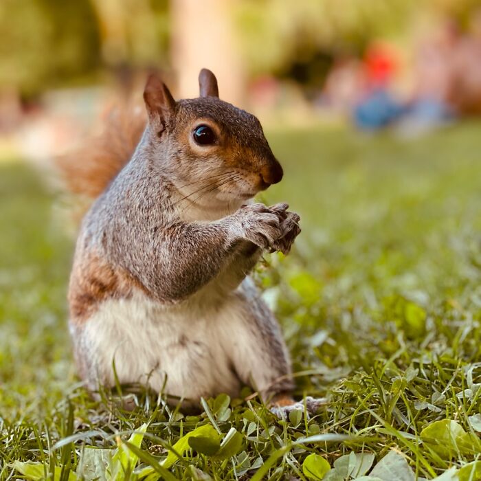 Here Are Some Pictures Of My Summer Vacation (26 Pics)