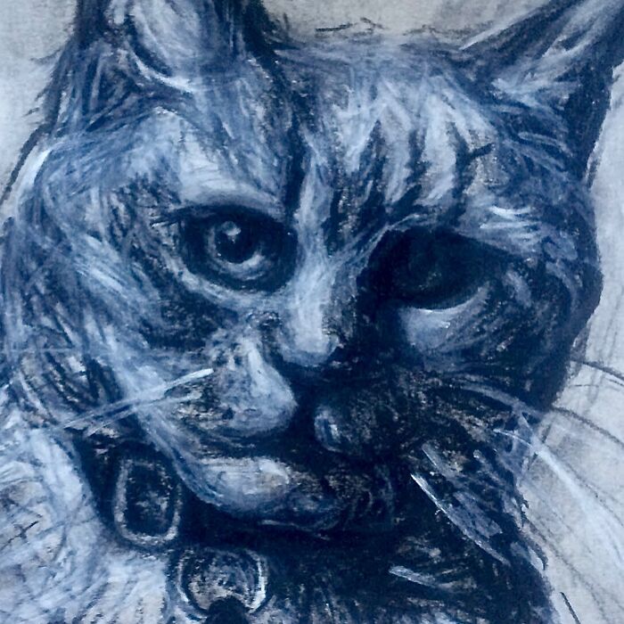 My Black And White Charcoal And Pencil Illustrations (15 Pics)