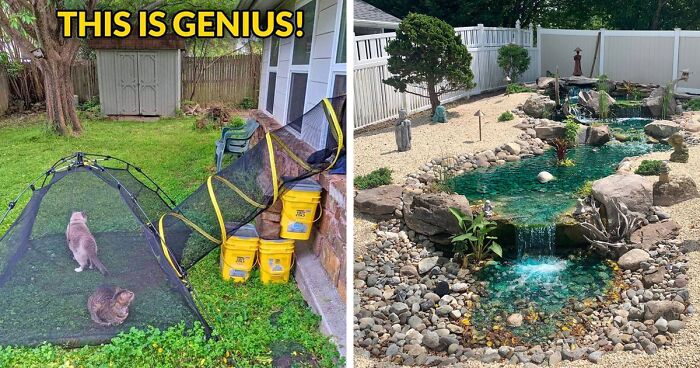 40 Creative Gardening Examples People Shared On This Facebook Group With 1.1M Members