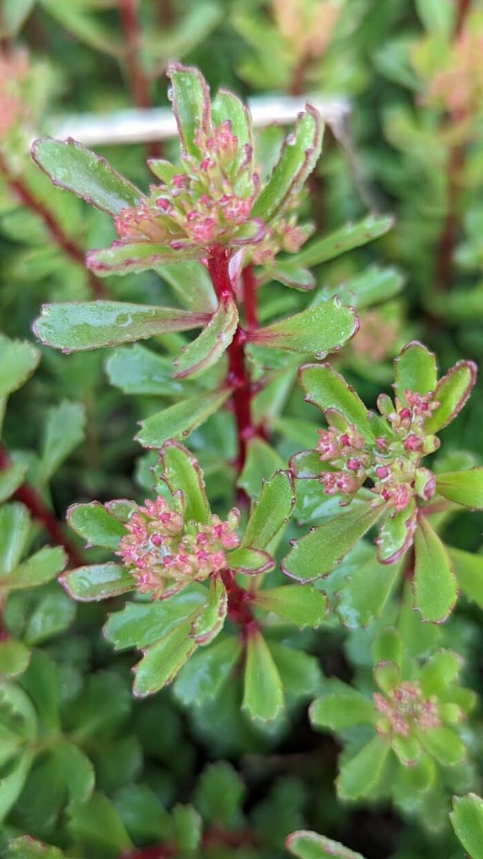 Some Amateur Photography