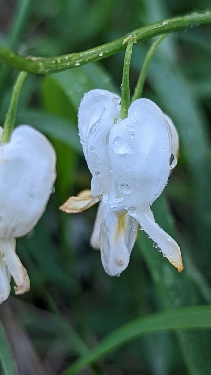 Some Amateur Photography