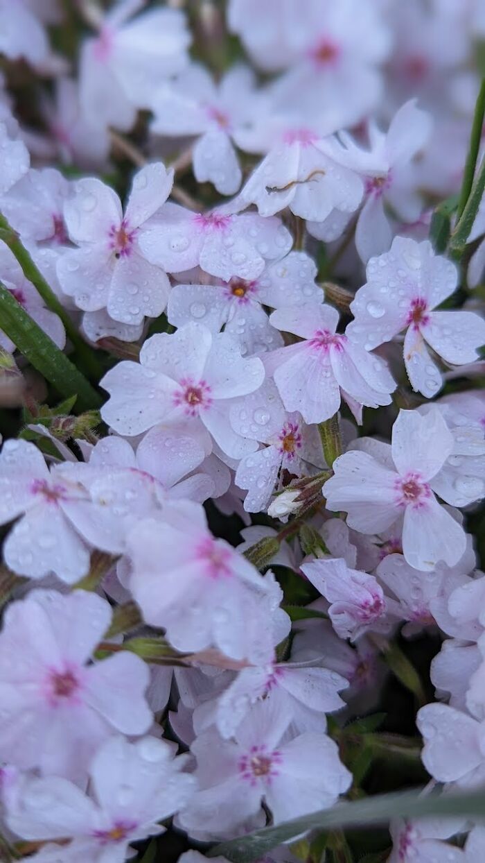 Some Amateur Photography