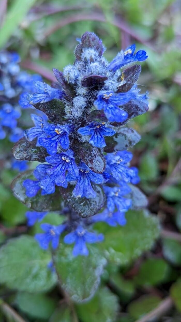 Some Amateur Photography