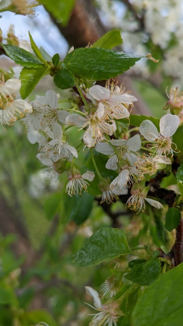 Some Amateur Photography