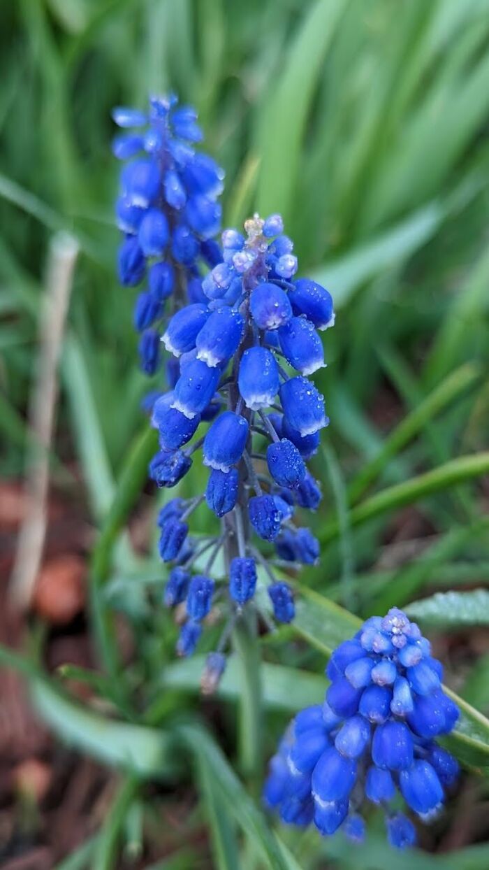 Some Amateur Photography