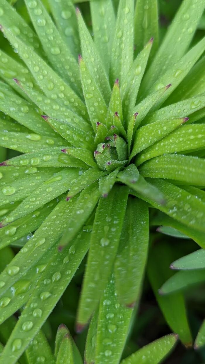 Some Amateur Photography