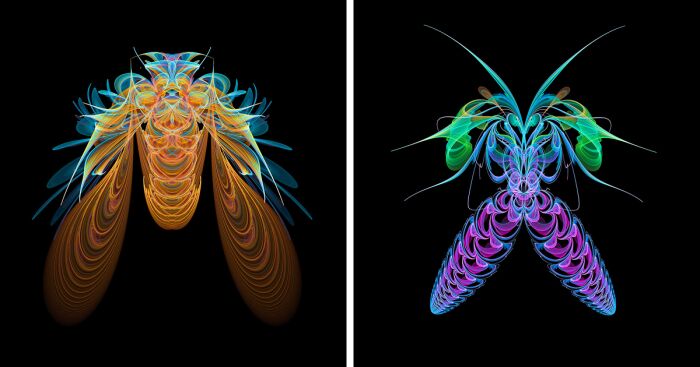 Insect Art Made With Fractals (12 Pics)