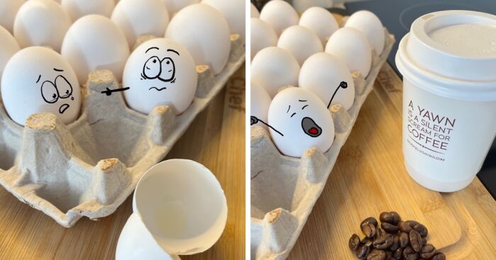 Eggsistential Humor – 15 Eggciting Or Perhaps Pun-Ishing Yolks That I Made