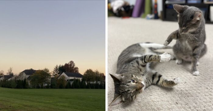 I Photograph The Little Moments, Here Are 15 Of My Favorite Ones