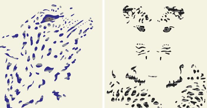 I Drew 9 Spotted Amur Leopards