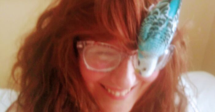 Hey Pandas, Please Post An Image Of How Funny Your Pet Bird Is (Closed)