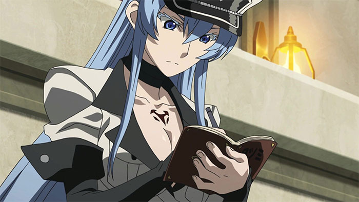 Esdeath wearing gray outfit