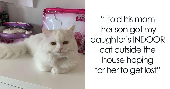 Man Lets Out An Indoor Cat He Hates “Probably Hoping For Her To Get Lost”, Fiancée Goes Off At Him In Front Of His Whole Family