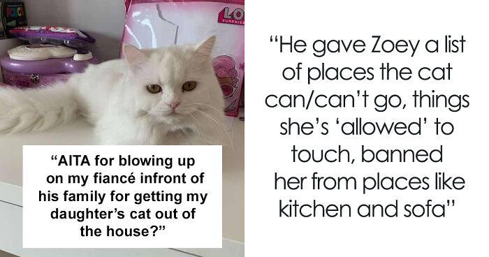 Man Lets Out An Indoor Cat He Hates “Probably Hoping For Her To Get Lost”, Fiancée Goes Off At Him In Front Of His Whole Family