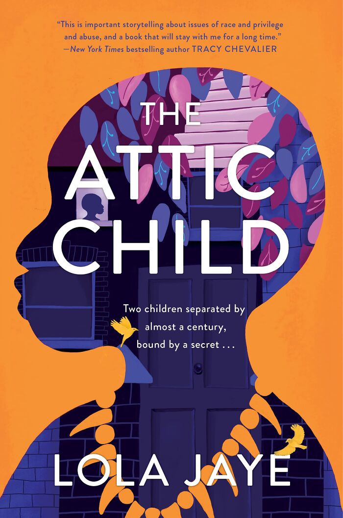 The Attic Child By Lola Jaye