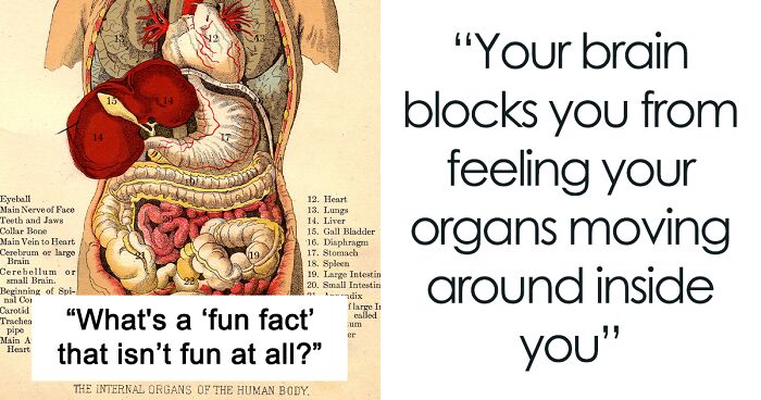 Person Asks “What’s A ‘Fun Fact’ That Isn’t Fun At All?” And 30 Folks Deliver