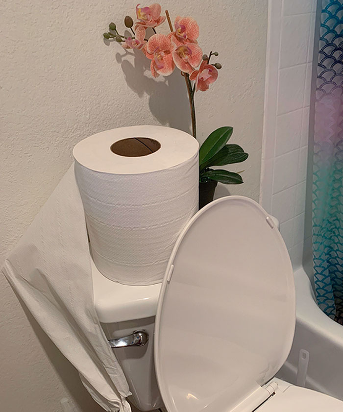 Bought Some Toilet Paper On eBay Didn’t Notice The Size
