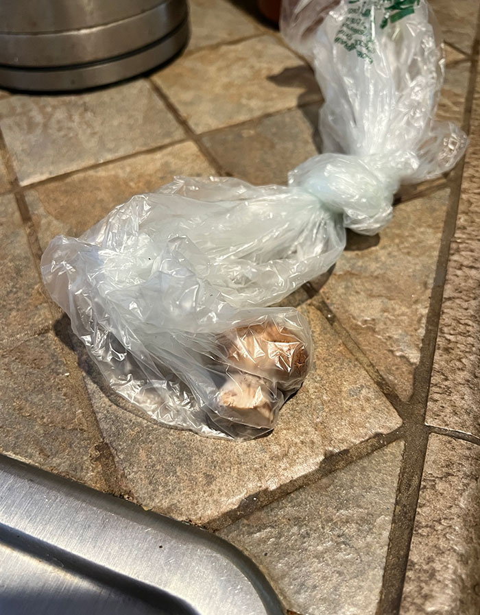 I Ordered 1 Pound Of Mushrooms From Amazon Fresh. I Got 1 Mushroom, In Its Own Little Baggie