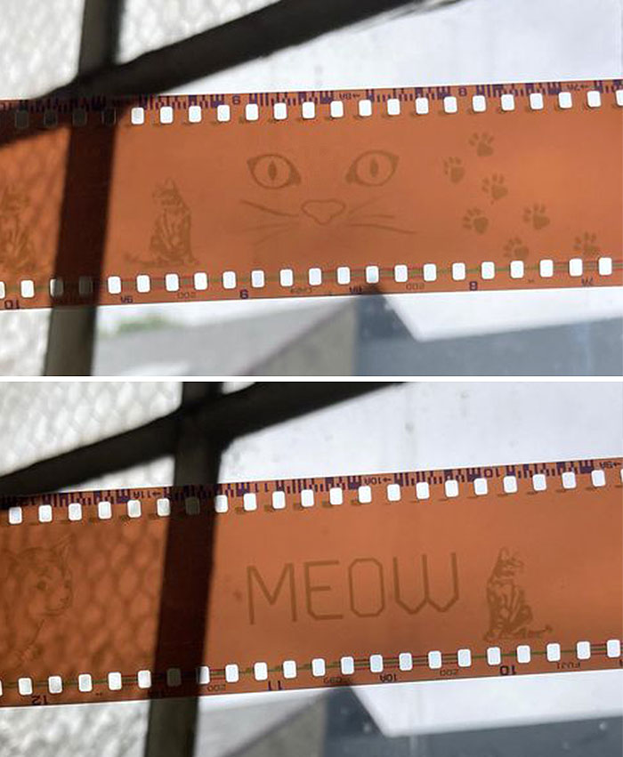 Words I Never Thought I Would Have To Say To A Customer: "I'm Not Sure Why It Says Meow And No, The Film You Bought On Amazon Shouldn't Come Preloaded With Cats On It"