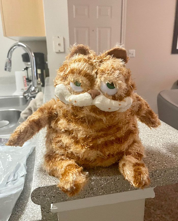 This New Garfield Plush That I Just Purchased For My Dog