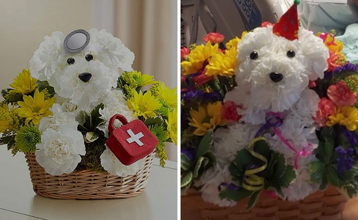 Ordered A Doggie Doctor Arrangement For My Father-In-Law In The ICU About To Undergo Surgery For A Brain Aneurysm