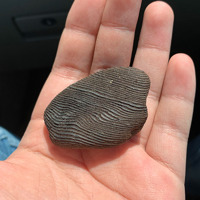 A Round Piece Of Wood I Found At The Beach