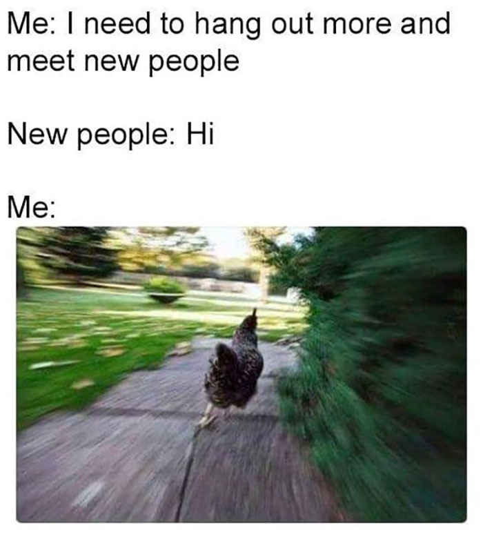 Funny-Introvert-Memes