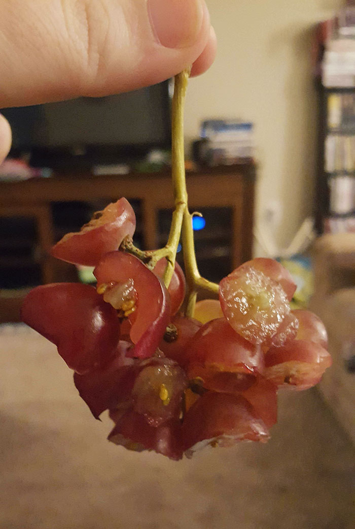 My Kid Said I Gave Her Too Many Grapes. I Said Just Eat Half Of Them