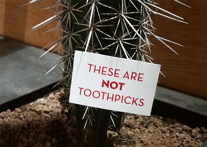 50 Funny Signs That Might Get You Wondering “Just What In The World Happened Here?”