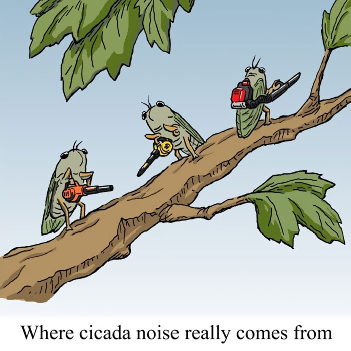 Humorous And Positive Single-Panel Comics By Jim Shoenbill That Will Hopefully Brighten Up Your Day (50 Pics)