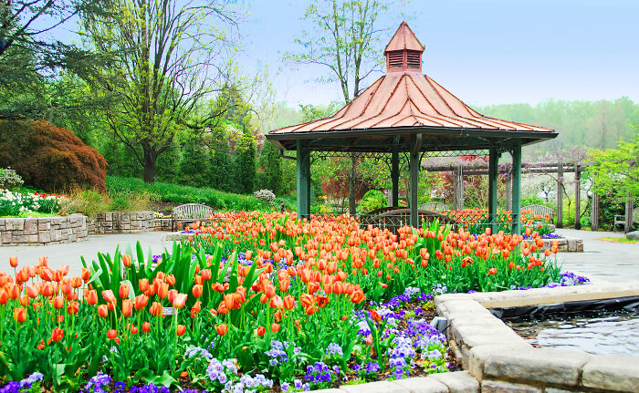 Brookside Gardens, Wheaton, Md Near Washington, D.c.
