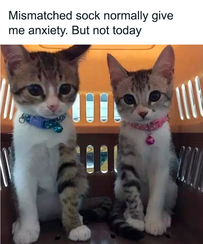 Hecking-Wholesome