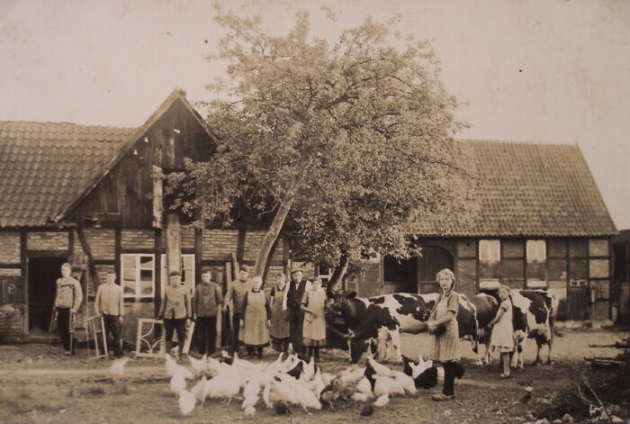 This Is My Family's House Around 1920. The Old Woman In Front Of The Tree Trunk Is My Great Great Grandmother.